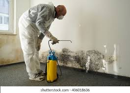 Why You Should Choose Our Mold Remediation Services in Andover, KS